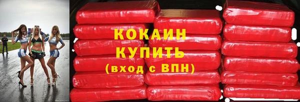 стаф Аркадак