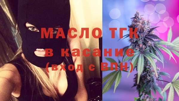 стаф Аркадак