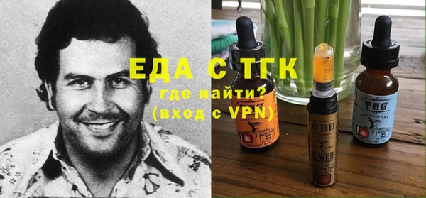 стаф Аркадак