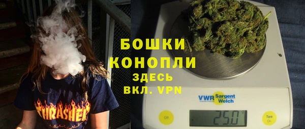 стаф Аркадак